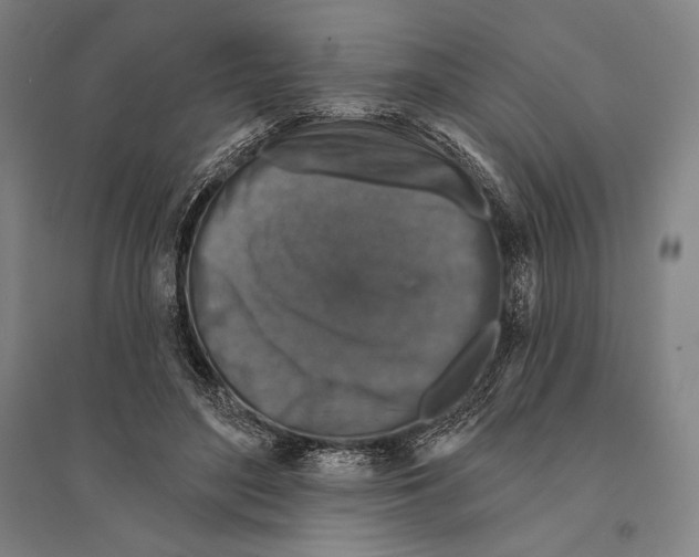 X0000095510500200801111416