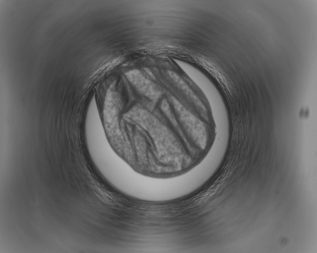 X0000095510501200801111416