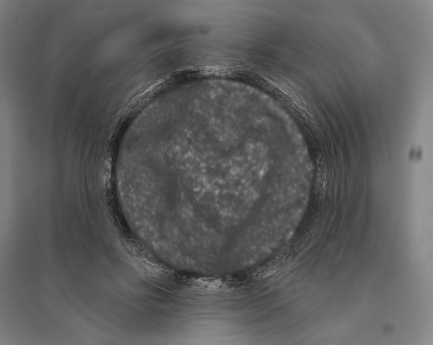 X0000095510502200801111416