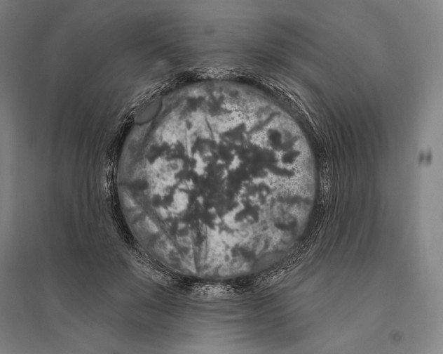 X0000095510503200801111416
