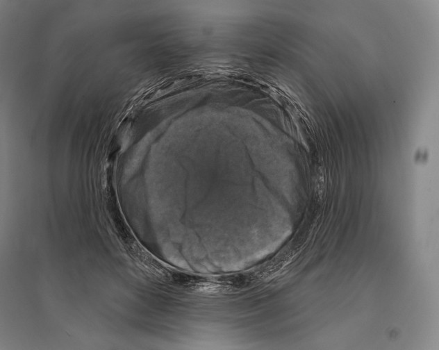 X0000095510504200801111416
