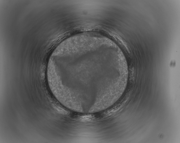 X0000095510505200801111416