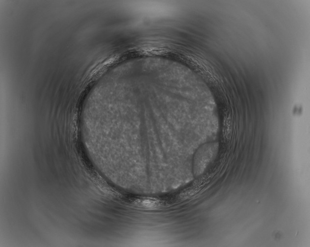 X0000095510506200801111416