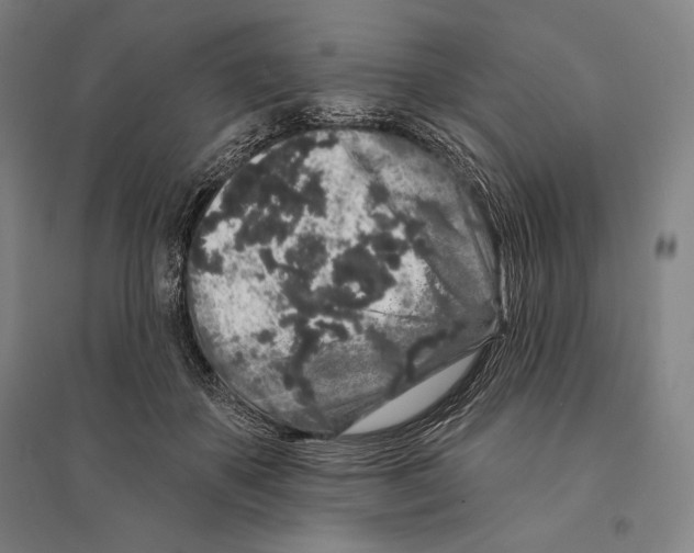 X0000095510507200801111416