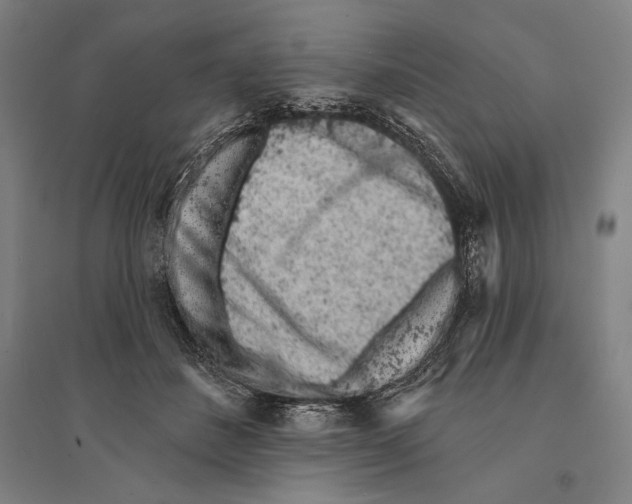 X0000095510508200801111416