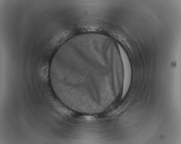 X0000095510509200801111416