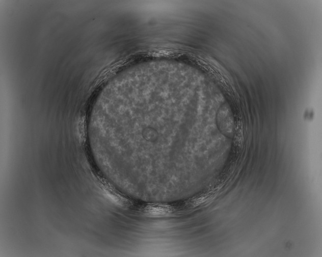 X0000095510510200801111416