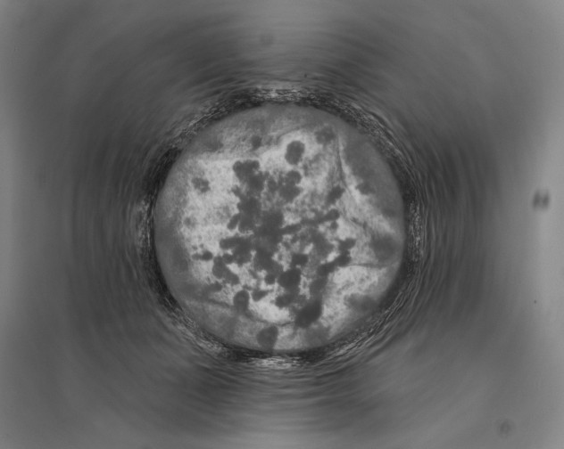 X0000095510511200801111416
