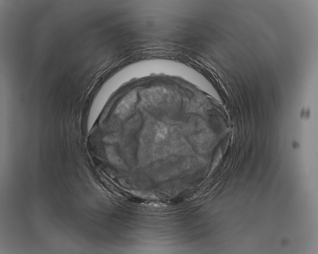 X0000095510512200801111416