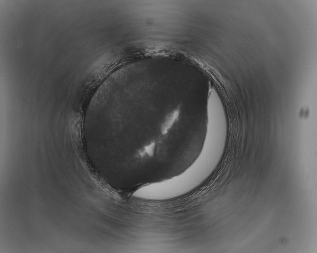 X0000095510513200801111416