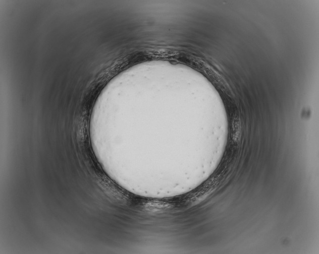 X0000095510515200801111416