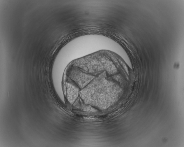 X0000095510516200801111416