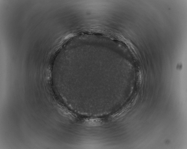 X0000095510517200801111416