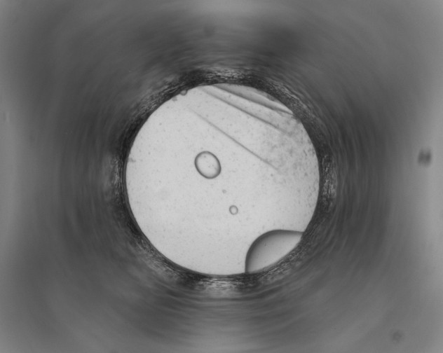 X0000095510518200801111416