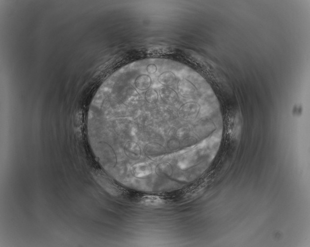 X0000095510519200801111416