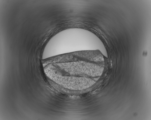 X0000095510520200801111416