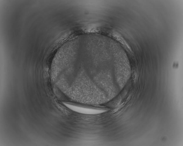 X0000095510521200801111416