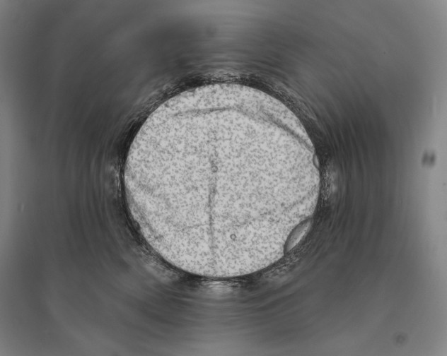 X0000095510522200801111416
