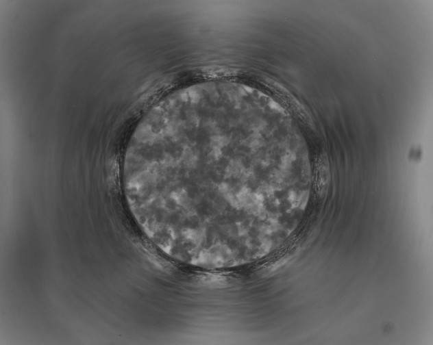 X0000095510523200801111416