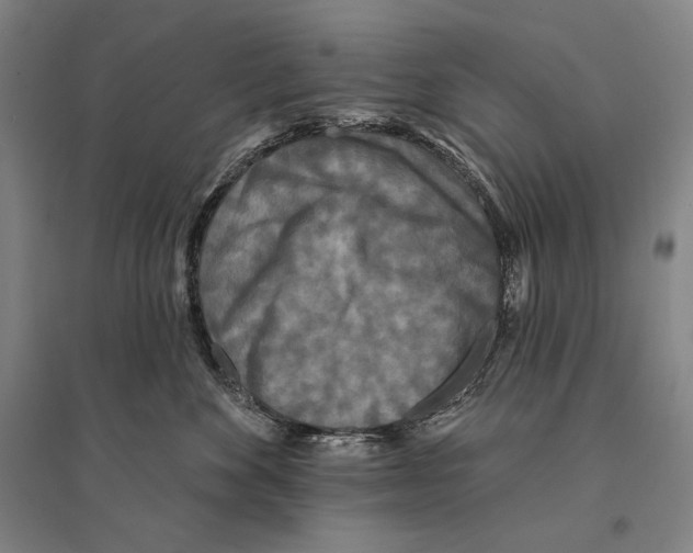 X0000095510524200801111416