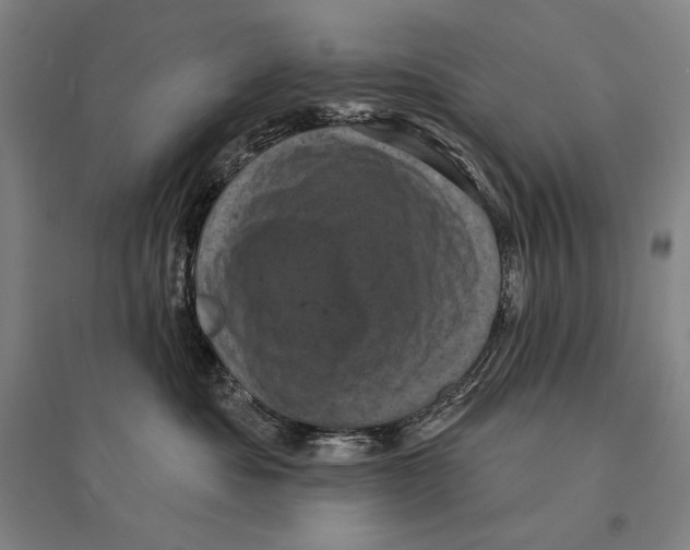 X0000095510525200801111416