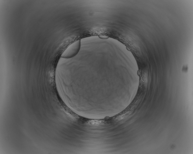 X0000095510526200801111416