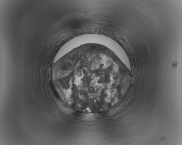 X0000095510527200801111416