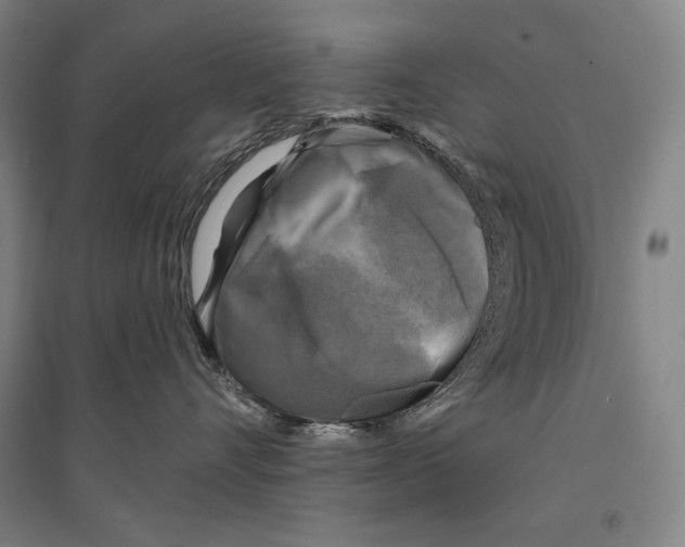 X0000095510528200801111415