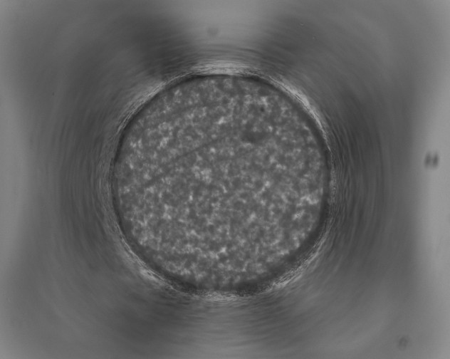 X0000095510529200801111415