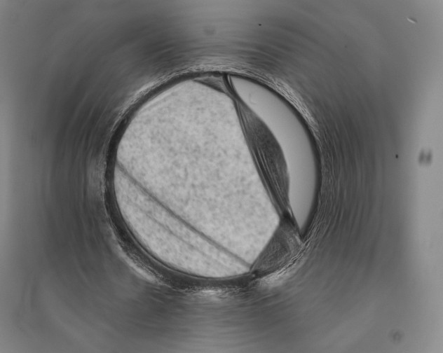 X0000095510530200801111415