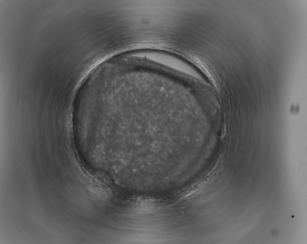X0000095510531200801111415
