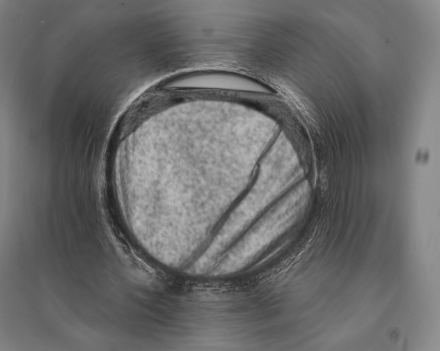 X0000095510532200801111415