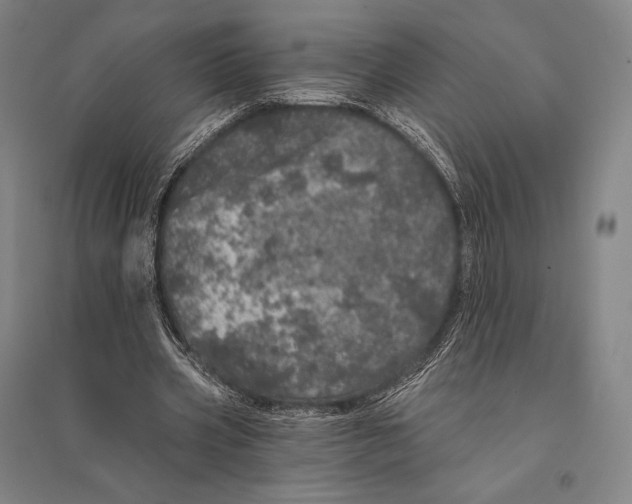 X0000095510533200801111415