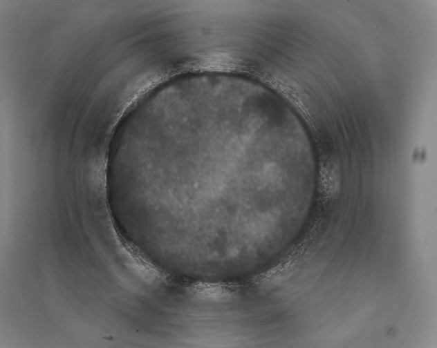 X0000095510534200801111415