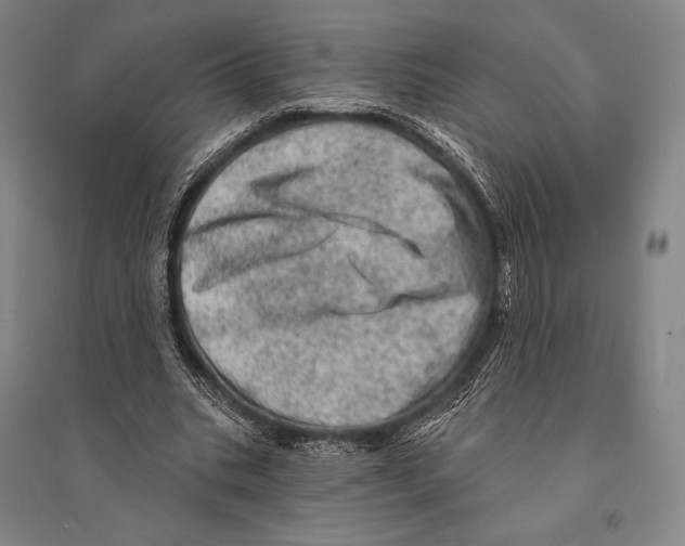 X0000095510535200801111415