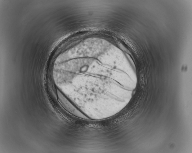 X0000095510536200801111415