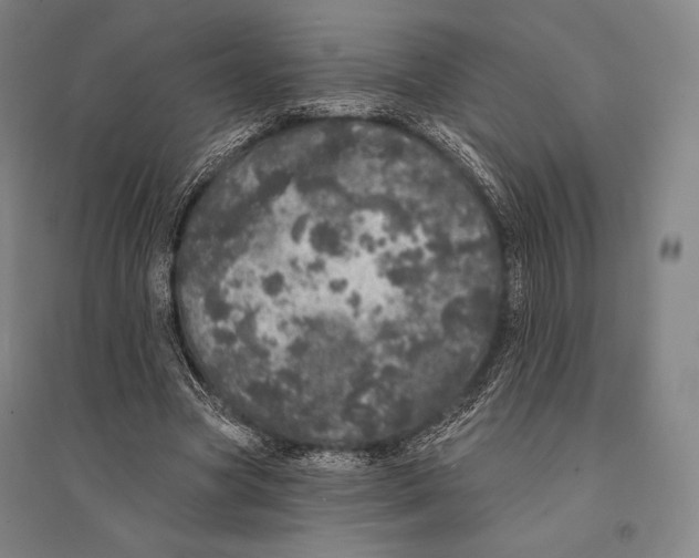 X0000095510537200801111415