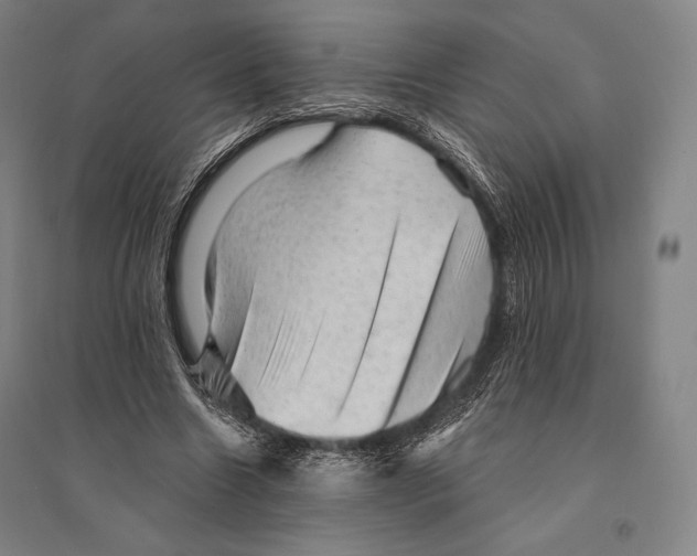 X0000095510538200801111415