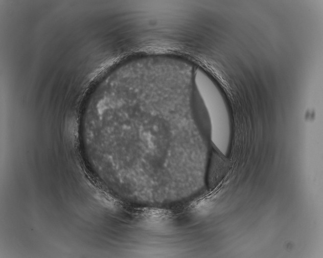 X0000095510539200801111415