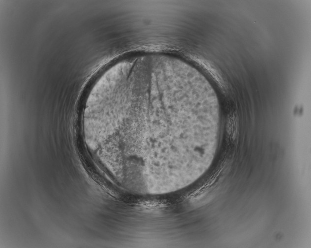 X0000095510540200801111415