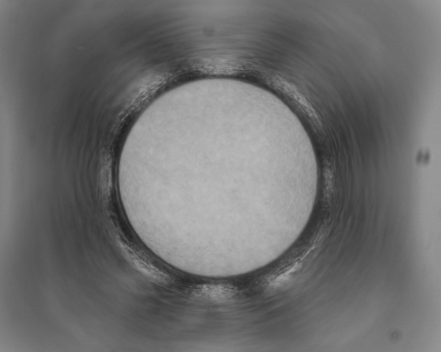 X0000095510541200801111415