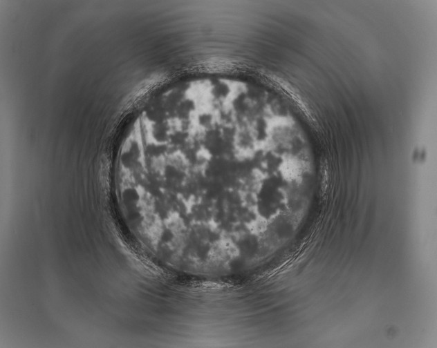X0000095510542200801111415