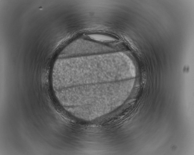 X0000095510543200801111415