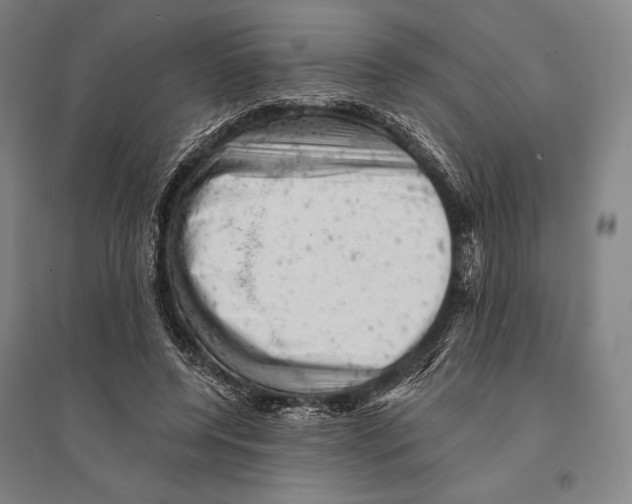 X0000095510544200801111415