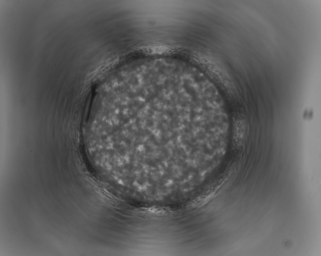 X0000095510545200801111415