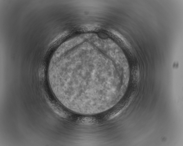 X0000095510546200801111415