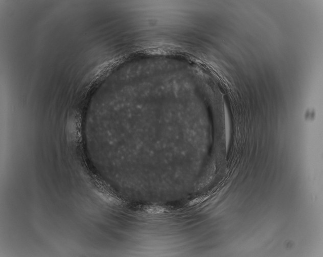 X0000095510547200801111415