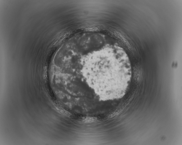 X0000095510549200801111415