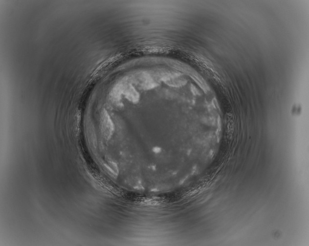 X0000095510550200801111415