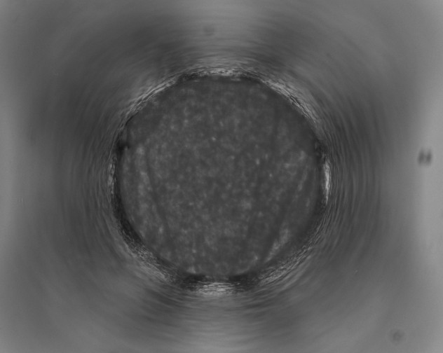 X0000095510551200801111415